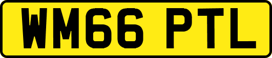 WM66PTL