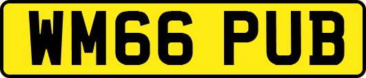 WM66PUB