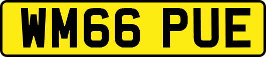 WM66PUE