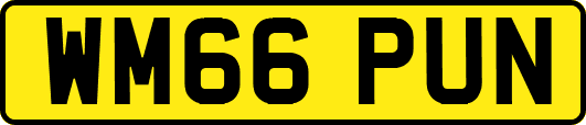 WM66PUN