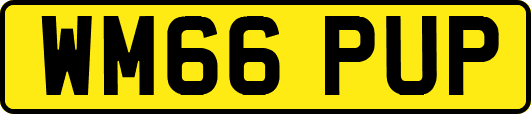 WM66PUP