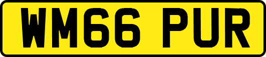 WM66PUR