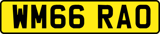 WM66RAO