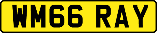 WM66RAY