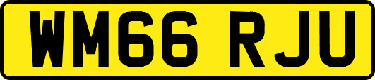 WM66RJU