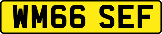 WM66SEF