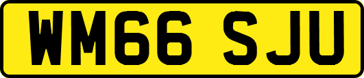 WM66SJU