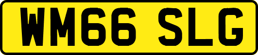 WM66SLG