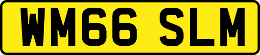 WM66SLM
