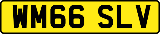 WM66SLV