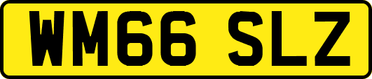 WM66SLZ