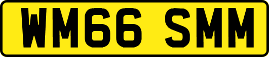 WM66SMM
