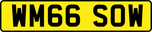 WM66SOW