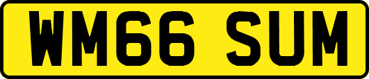 WM66SUM