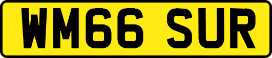 WM66SUR