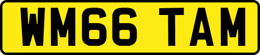 WM66TAM