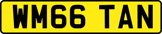 WM66TAN
