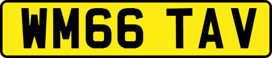 WM66TAV
