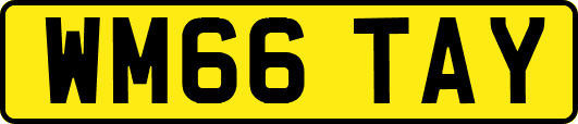 WM66TAY