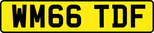 WM66TDF