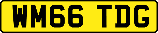WM66TDG
