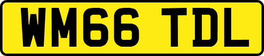 WM66TDL
