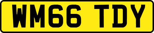 WM66TDY