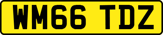 WM66TDZ