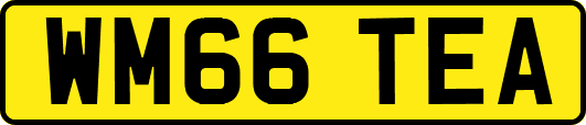 WM66TEA