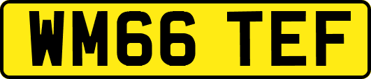 WM66TEF