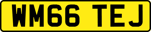 WM66TEJ
