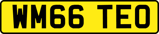 WM66TEO