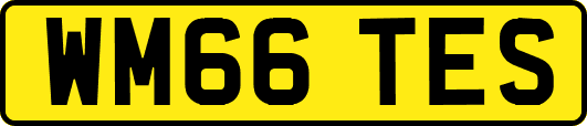 WM66TES