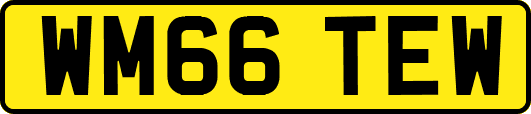 WM66TEW
