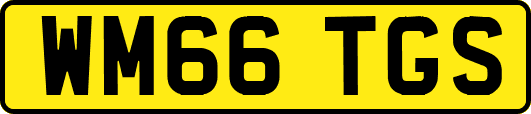 WM66TGS