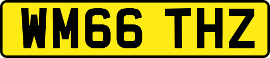 WM66THZ