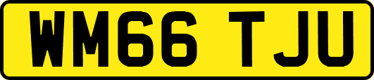 WM66TJU
