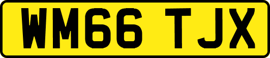 WM66TJX