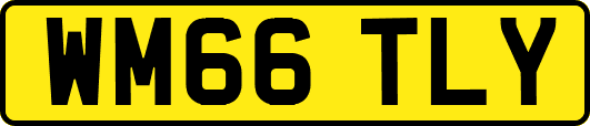 WM66TLY