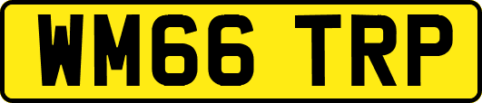 WM66TRP