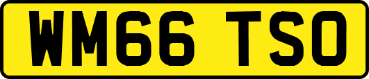 WM66TSO