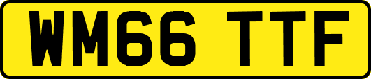 WM66TTF