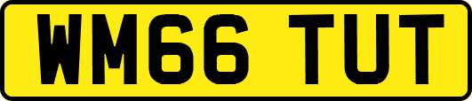 WM66TUT
