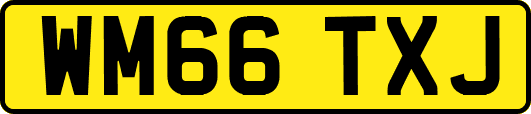 WM66TXJ