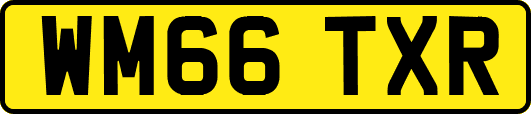 WM66TXR