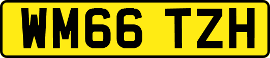 WM66TZH