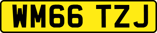 WM66TZJ