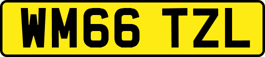 WM66TZL