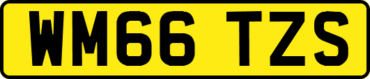 WM66TZS