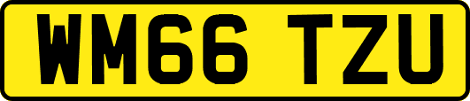 WM66TZU
